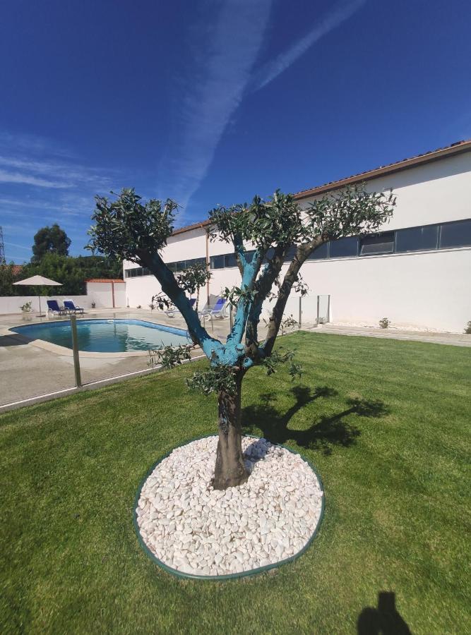 Villa Quinta Santa Lucrécia Braga Exterior foto